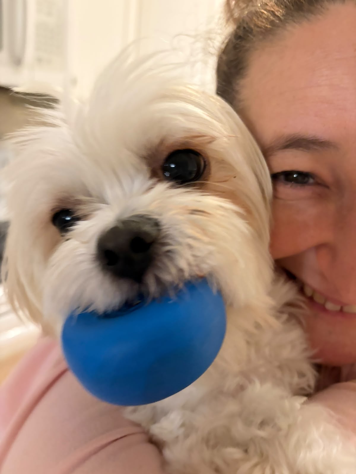 Rainbow, the real dog who inspired the little white dog featured in Food Mood.